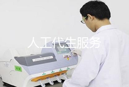 人工代生服务